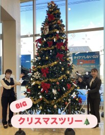 クリスマスツリー出しました！！